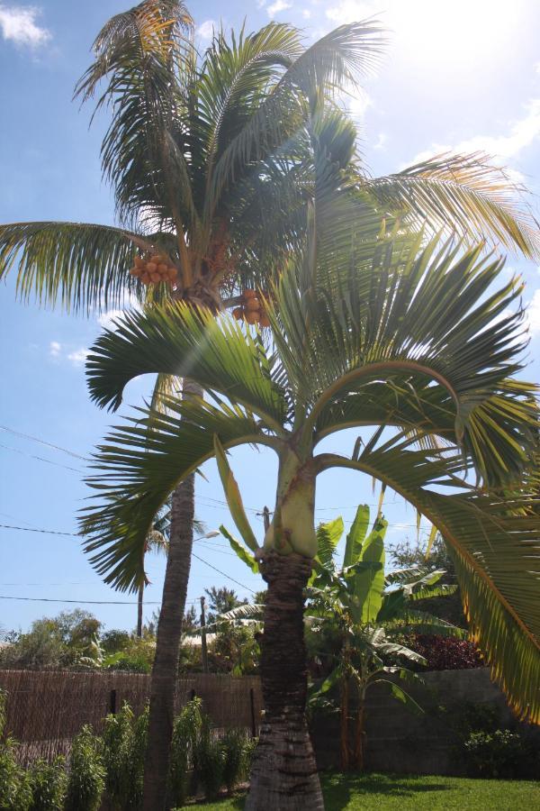 Jolie Case Creole, Lagon A Pied, Jardin Saint-Gilles Les Bains Exterior photo